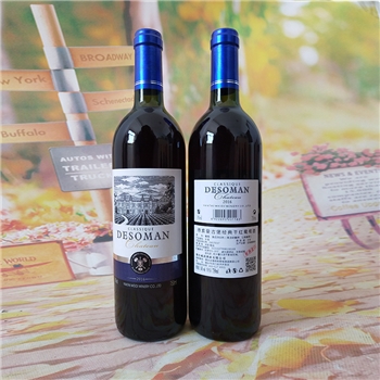 德索曼古堡经典